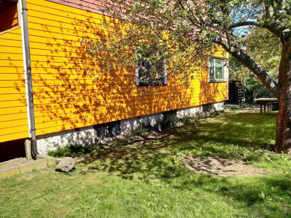 Renovated Semi- Basement 2 Bedrooms Furnished Apartment - Close To Everything In モス エクステリア 写真
