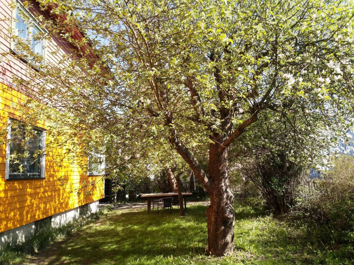Renovated Semi- Basement 2 Bedrooms Furnished Apartment - Close To Everything In モス エクステリア 写真