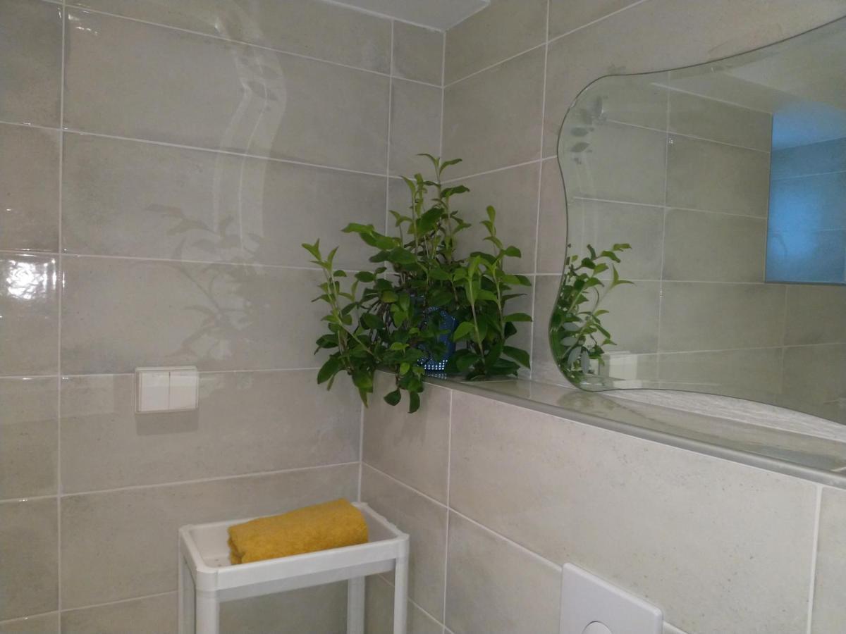 Renovated Semi- Basement 2 Bedrooms Furnished Apartment - Close To Everything In モス エクステリア 写真